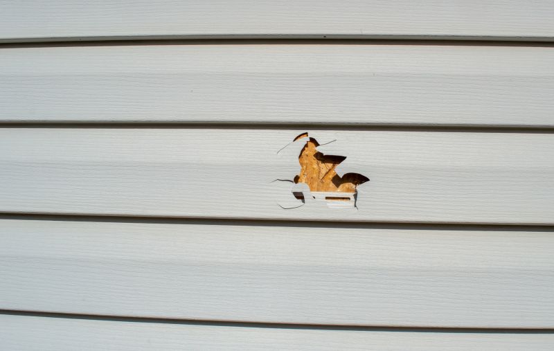 Repaired Vinyl Siding Panel